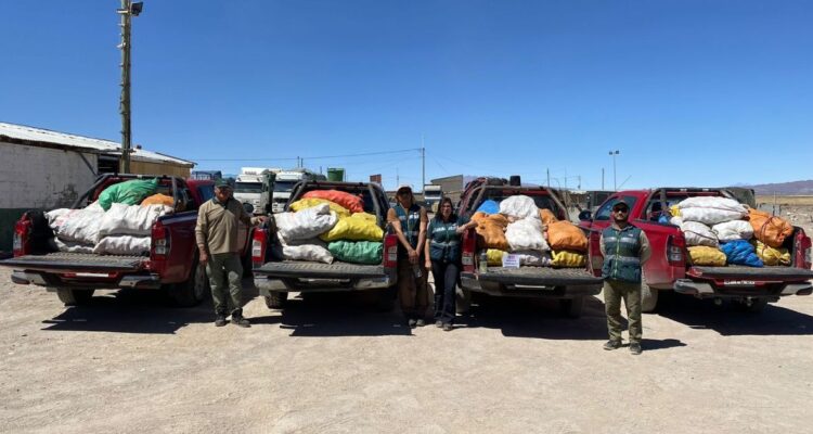 SAG ha interceptado más de 77 toneladas de papas de origen ilegal: provienen de Perú y Bolivia