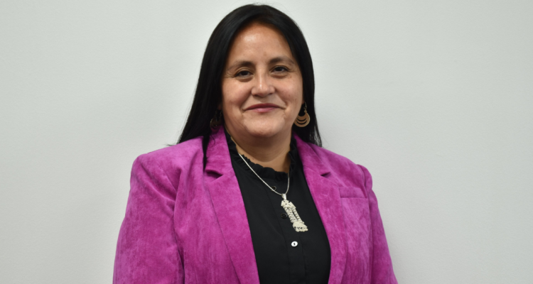 Seremi Eduación La Araucanía