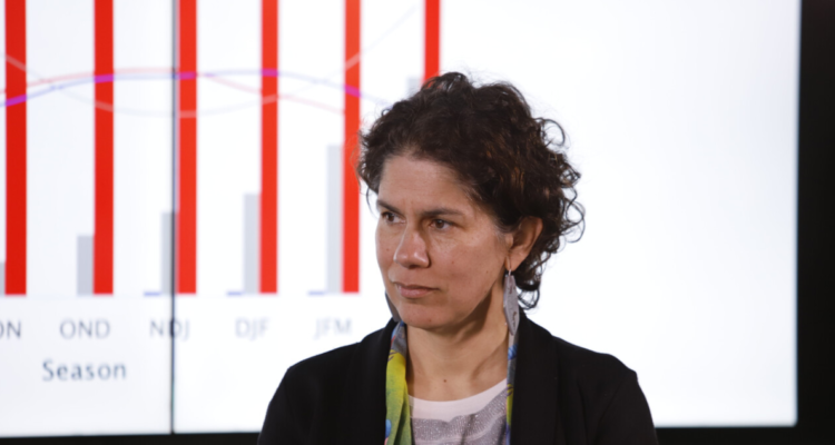 sistema de impacto ambiental – consejo de ministros