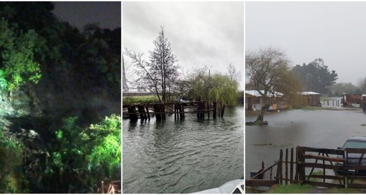 SISTEMA FRONTAL DESDE LA ARAUCANÍA A LOS LAGOS