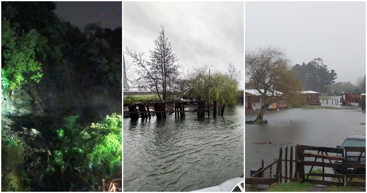 SISTEMA FRONTAL DESDE LA ARAUCANÍA A LOS LAGOS
