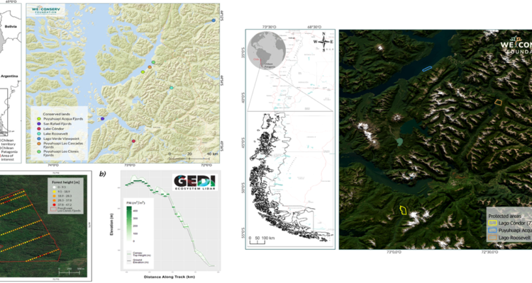 Misión GEDI de la NASA estuvo en Chile para medir la biomasa de la Patagonia: ¿De qué se trata?