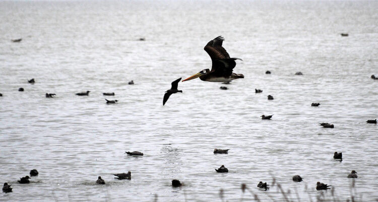 Contexto | Agencia UNO