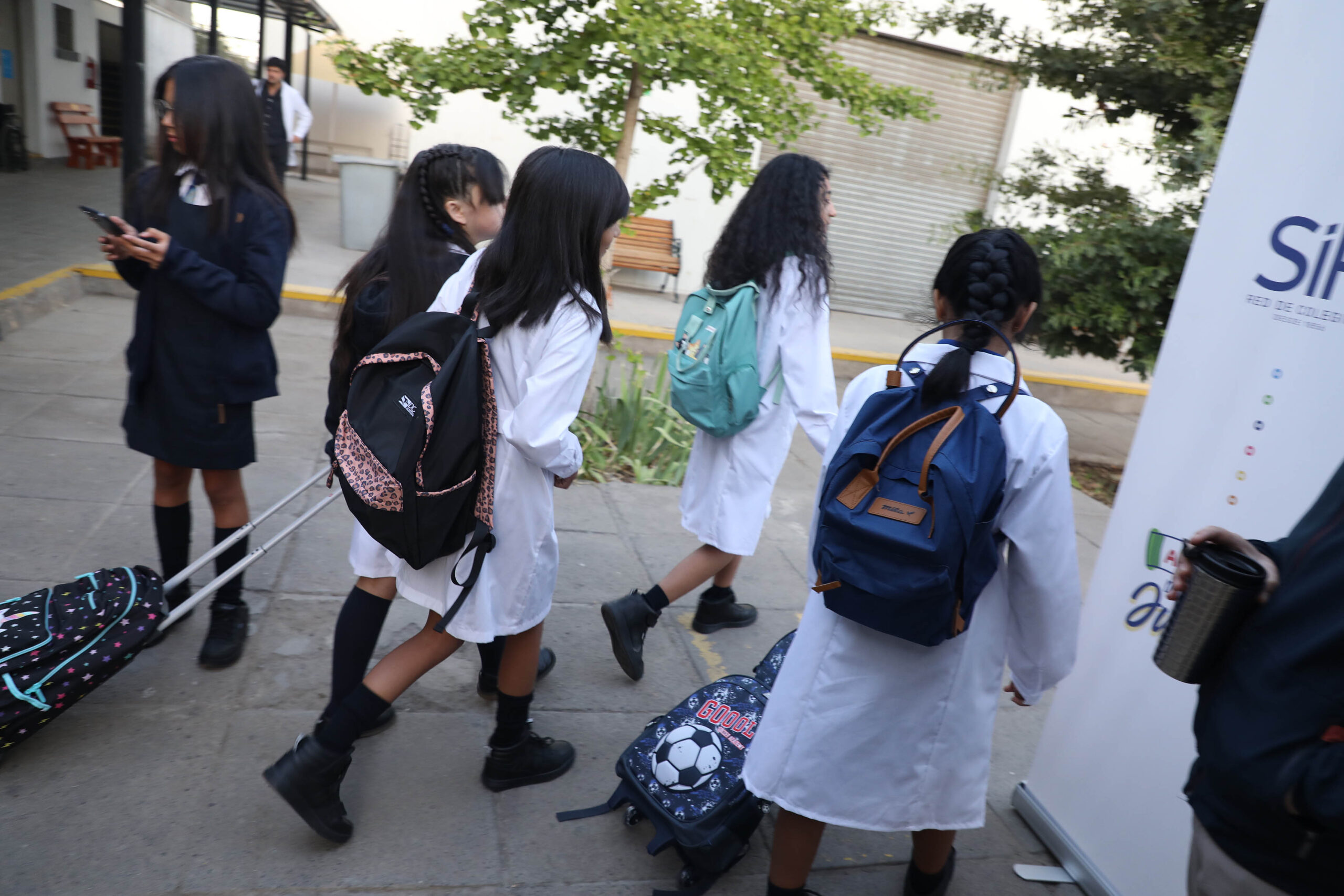 El Sistema de Admisión Escolar publicó primeros resultados del período principal