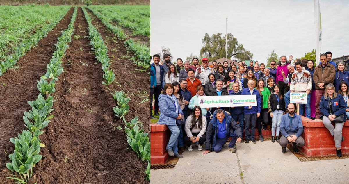 Agricultores metropolitanos inician tránsito hacia producción sostenible con programa de Indap