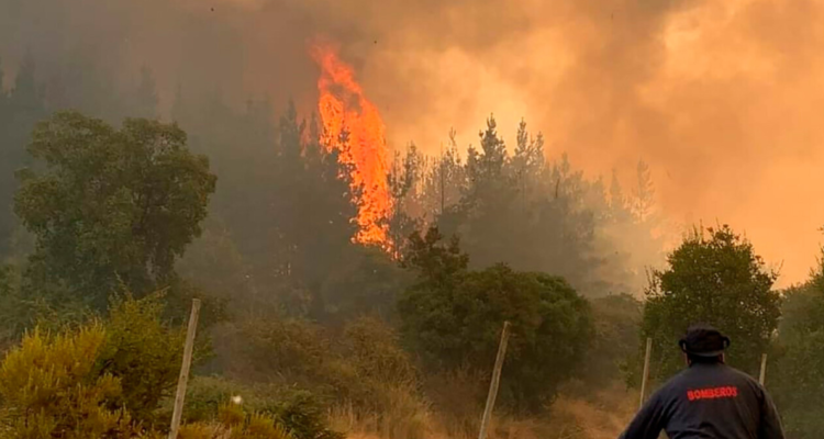 Alcaldesa de Santa Juana pide declarar Estado de Excepción en zonas de riesgo por incendios forestales