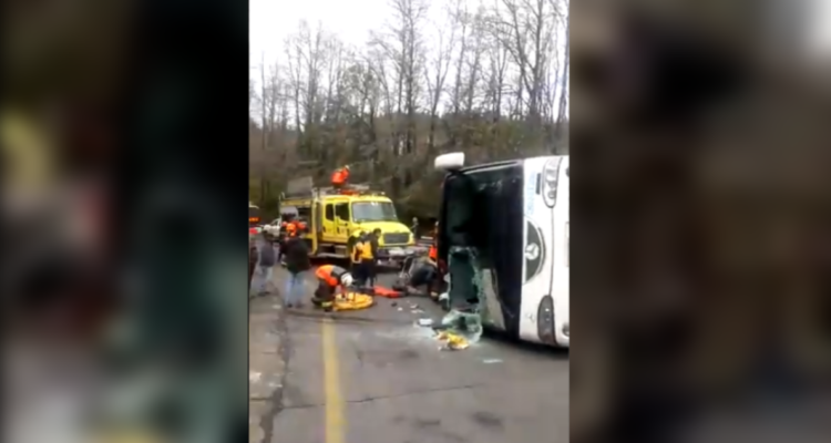 Condenan a 5 años de cárcel a chofer de bus que volcó entre Victoria y Curacautín: murieron 3 menores