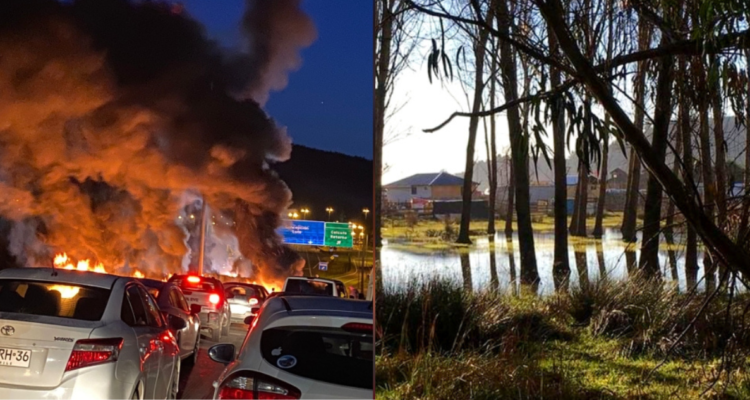 Declaran admisible querella de Arauco por manifestantes que bloquearon Ruta 160 por desalojo de predio
