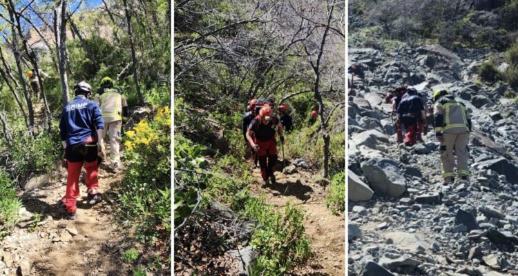 Intensa búsqueda de hombre que desapareció este viernes en el Parque Nacional La Campana en Olmué