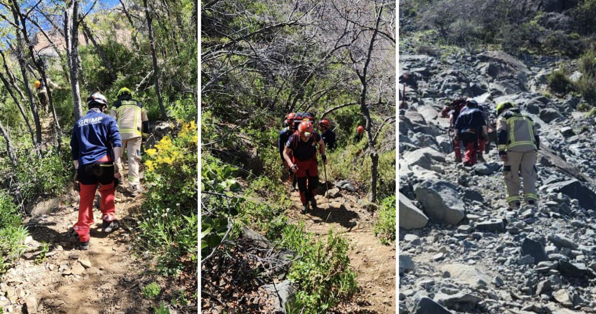 Intensa búsqueda de hombre que desapareció este viernes en el Parque Nacional La Campana en Olmué