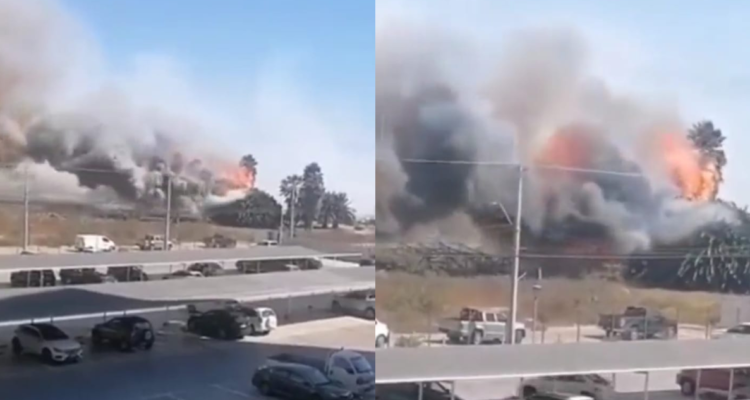 Senapred declara Alerta Roja en Coquimbo por incendio forestal que amenaza a viviendas