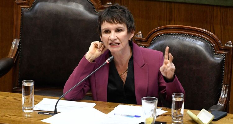 Ley de Usurpaciones: Tohá critica a quienes fueron voluntarios de TECHO y ahora buscan penas de cárcel