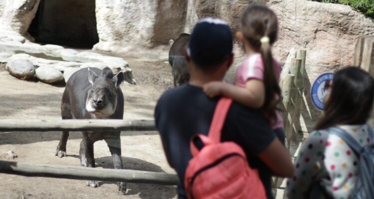 Contexto | Agencia UNO