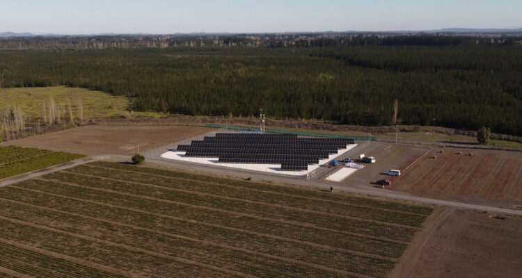CMPC instala moderna red fotovoltaica con paneles solares bifaciales en vivero forestal de Cabrero