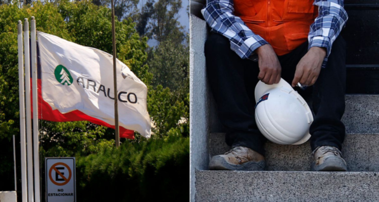 Arauco despide a 300 trabajadores a nivel nacional por reestructuración de empresa