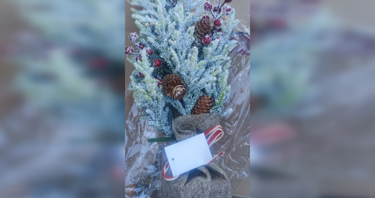 Incineran decoraciones navideñas por riesgo de plagas