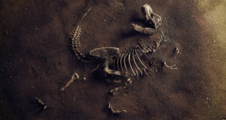 Nueva teoría sugiere que los dinosaurios no se extinguieron con el impacto del asteroide Chicxulub