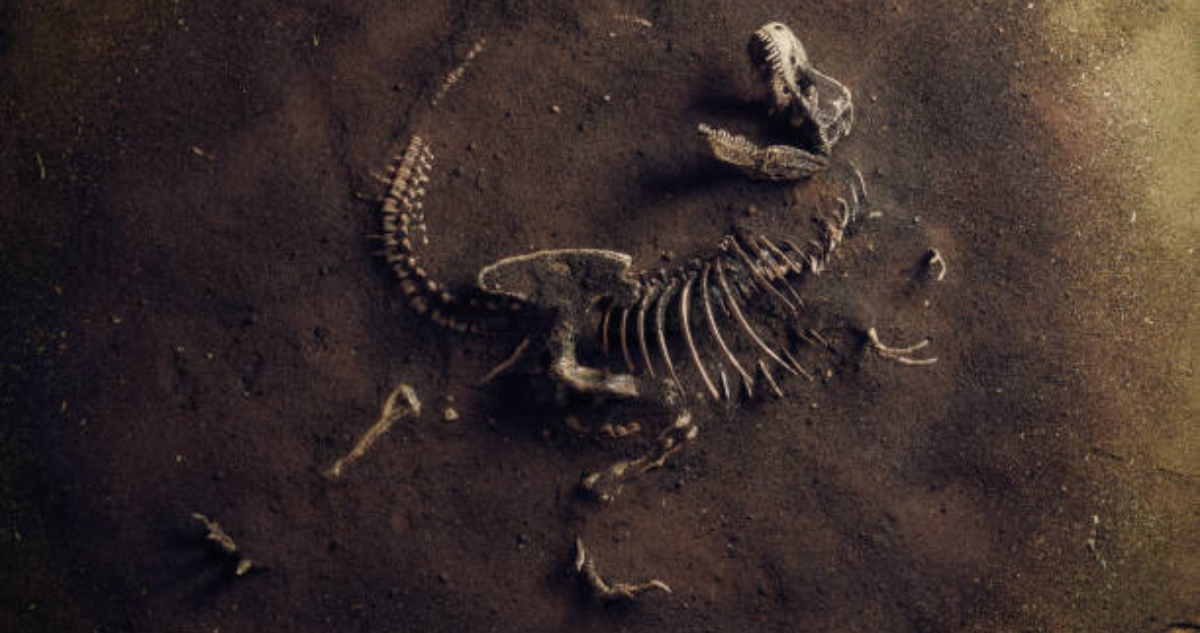 Nueva teoría sugiere que los dinosaurios no se extinguieron con el impacto del asteroide Chicxulub