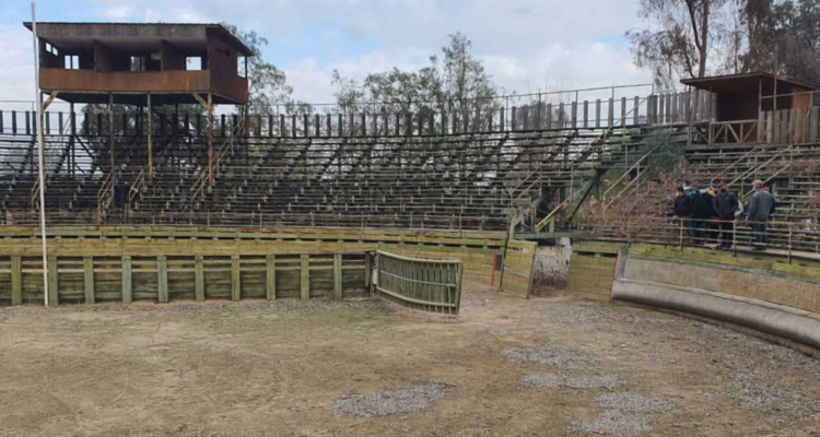 Medialuna del “guatón Loyola” San Esteban: monto de $780 millones