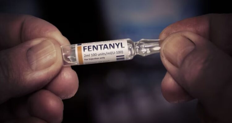 Diputados UDI llaman al Gobierno a iniciar campaña contra “droga zombie” y reforzar control fronterizo