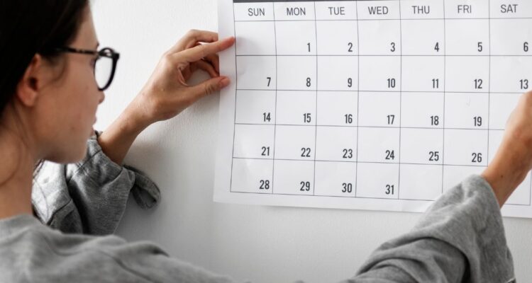 Cuáles son los feriados o feriado de noviembre, qué día cae, por qué se celebra y qué pasa con el comercio ¿habrá feriado irrenunciable?