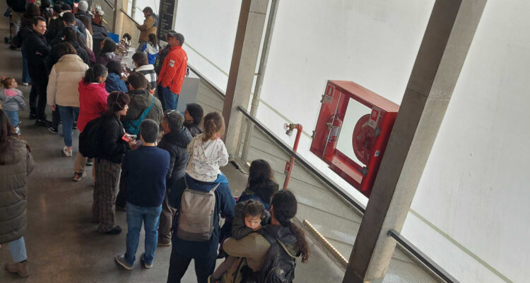 Paula Villaseñor | BBCL