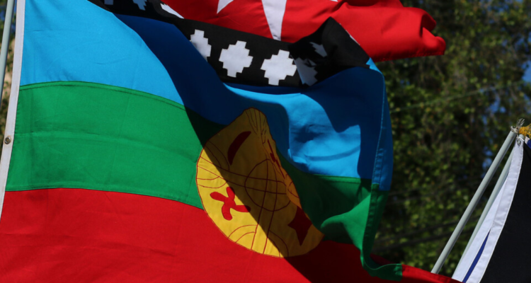 Formalizan a dos comuneros mapuches por usurpación