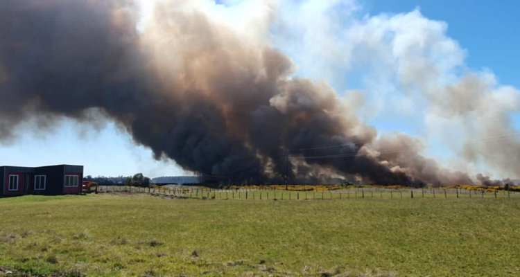 Declaran Alerta Roja por incendio forestal en Castro: está cercano a sectores habitados