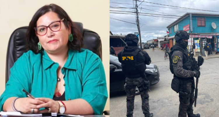 Delegada presidencial Carla Peña destaca megaoperativo que terminó con 11 detenidos en Valdivia