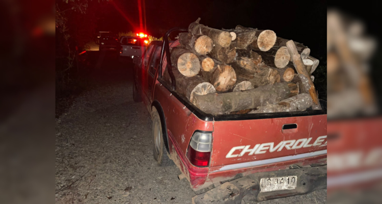 Tres detenidos en flagrancia por robo de madera en Los Lagos: se incautó vehículos y motosierra