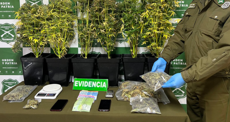 Detienen a dos personas por microtráfico en Valdivia: se incautó droga avaluada en más de $5 millones