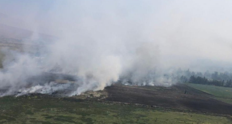 Controlan incendio forestal en Rapa Nui y bajan alerta a Amarilla: 100 hectáreas fueron consumidas
