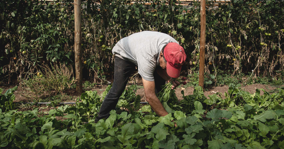 Agro y migración