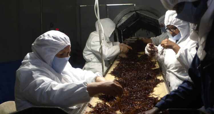 Reglas de origen en el comercio exterior