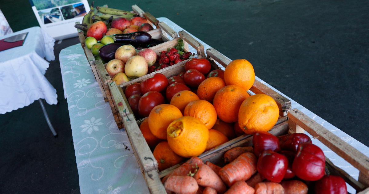 Pérdida y desperdicio de alimentos