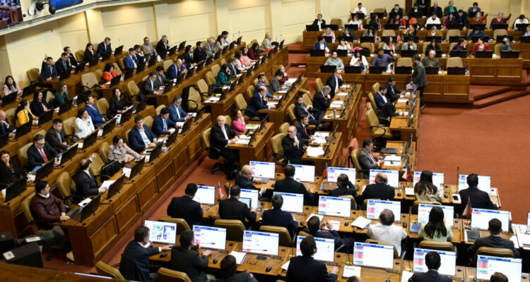 representación y representantes