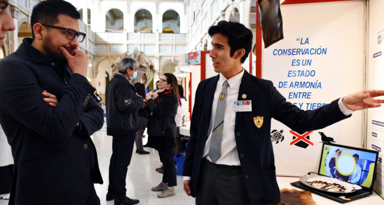 Educación y reactivación