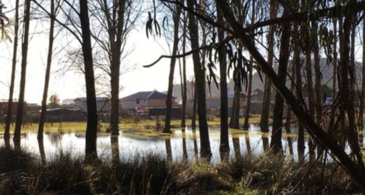Aseguran que solicitud de humedal urbano Colcura sigue en pie pese al eventual desalojo de la toma