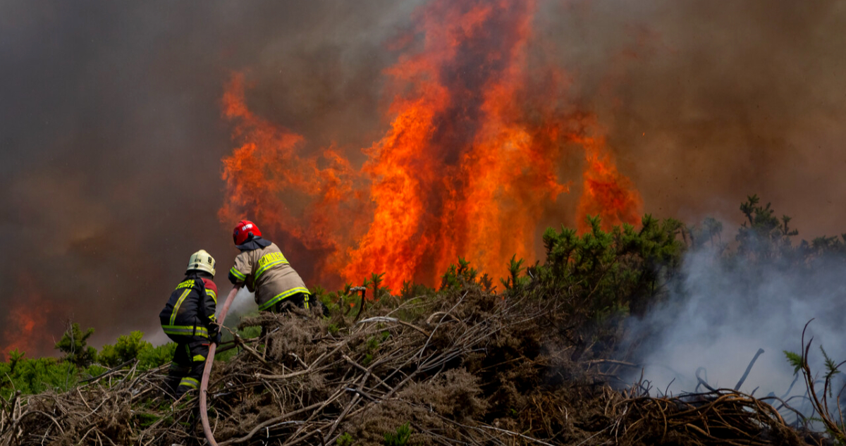 incendio-forestal-santa-barbara