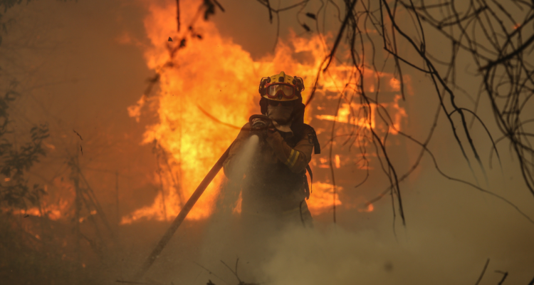 incendios forestales