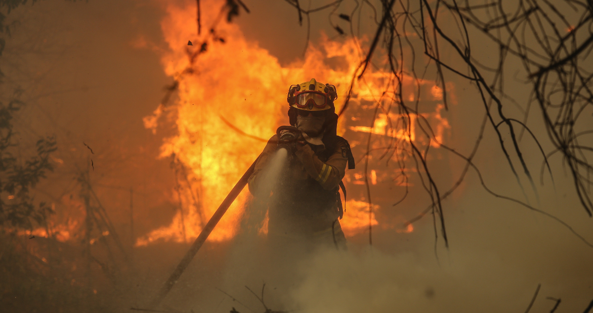 incendios forestales