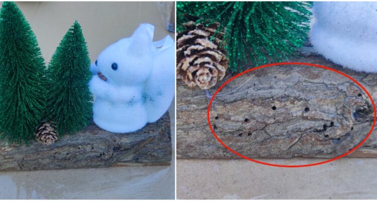 Incineran decoraciones navideñas por riesgo de plagas