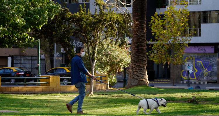 Ñuñoa y Las Condes empujan repunte de ventas de propiedades usadas en el Sector Oriente
