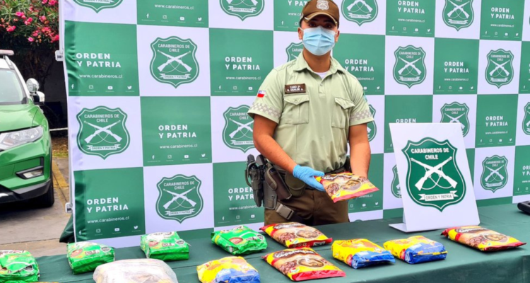 Carabineros del OS 7 Iquique durante un control preventivo detectó a una mujer que ingresó al país por un paso no habilitado, portando un bolso con 14 paquetes que aparentaban ser envases de complementos alimenticios, pero que contenían casi 15 kilos de clorhidrato de cocaína.