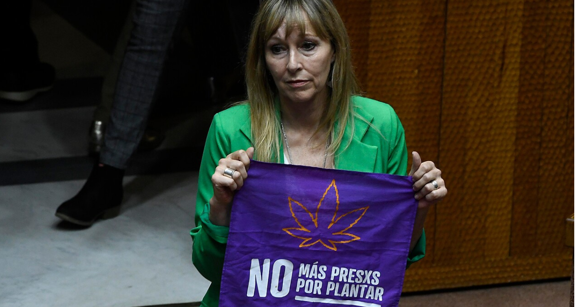El diputado del Partido Republicano, Juan Irarrázaval, denunció a la Controlaría General de la República a 11 municipalidades del país por presentar irregularidades en la rendición de cuentas de una serie de convenios de colaboración que se suscribieron con la Fundación Daya para la ejecución de un programa para el uso compasivo del aceite de cannabis como terapia complementaria para pacientes con patologías con dolor crónico.