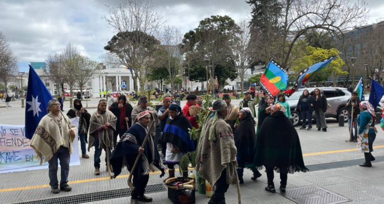 comunidad mapuche parque eólico arauco