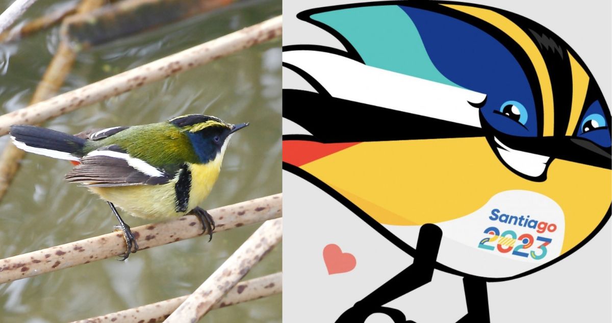 “Fiu” es la mascota de los Juegos Panamericanos