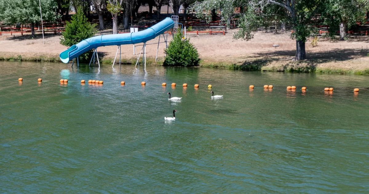 Ñuble: autoridades sugieren no bañarse en Laguna Avendaño de Quillón por descargas de material fecal