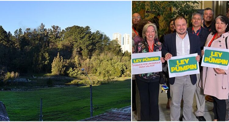 Movimiento Defensa Parques Barrio O’Higgins – Diputado Luis Cuello (Facebook)