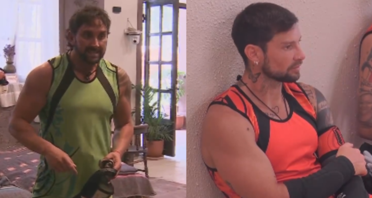 Longton Mateucci Tierra Brava